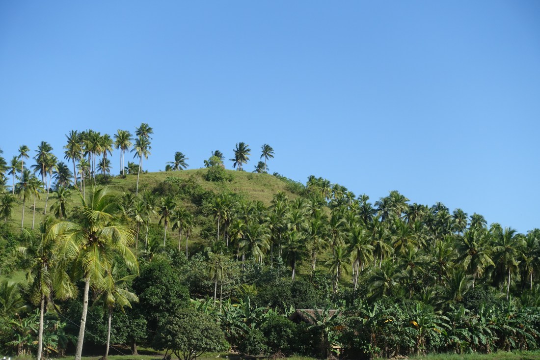 DSC03137