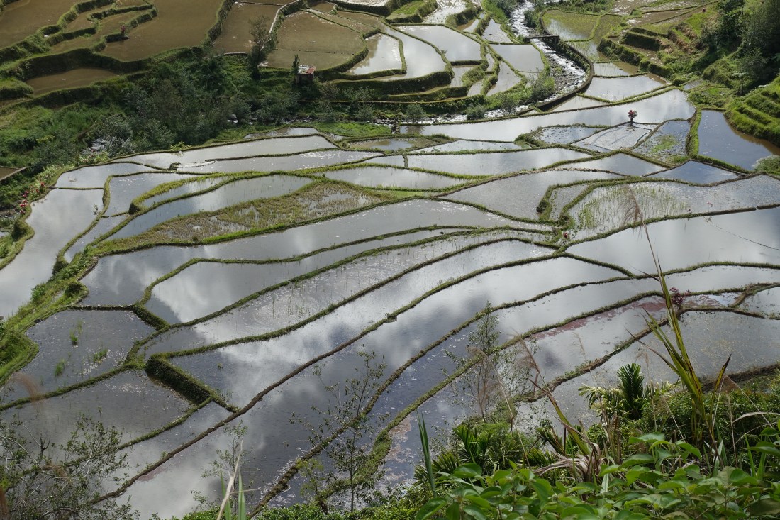 DSC03452