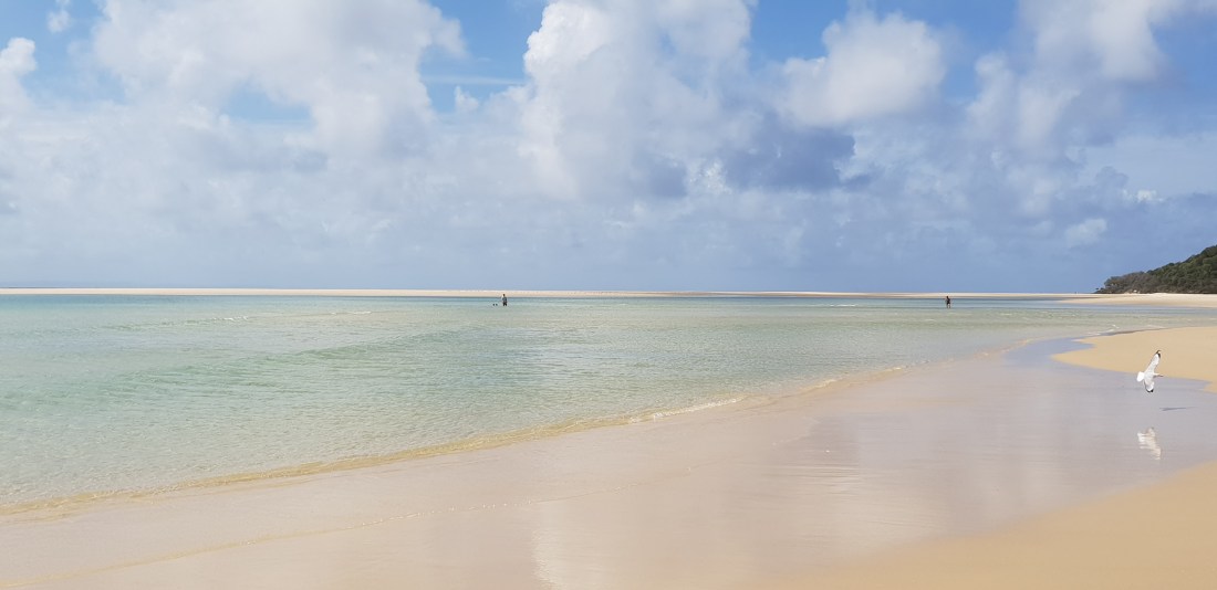 20190208_143051