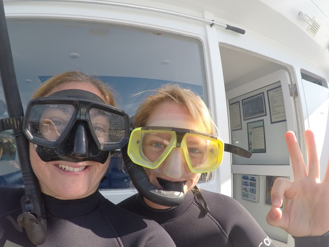 DCIM100GOPROGOPR2991.